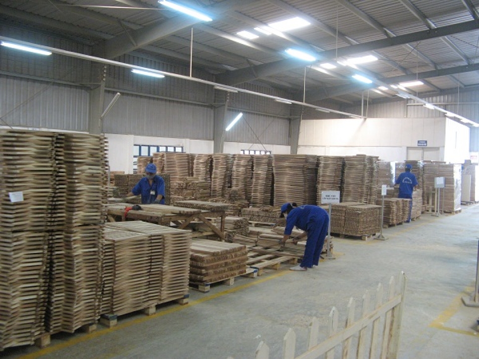 Xuất khẩu gỗ phát triển bền vững trong tương lai