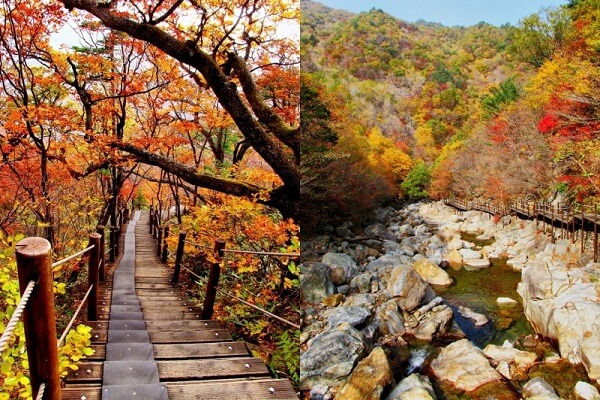 Leo núi ở Hàn Quốc sẽ mang đến trải nghiệm tuyệt vời khi đi du học